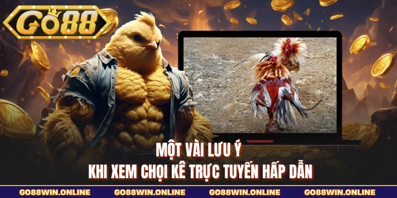 Một vài lưu ý khi xem chọi kê trực tuyến hấp dẫn