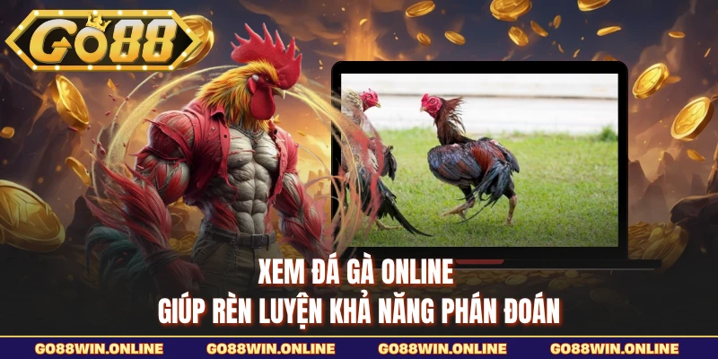 Xem đá gà online giúp rèn luyện khả năng phán đoán