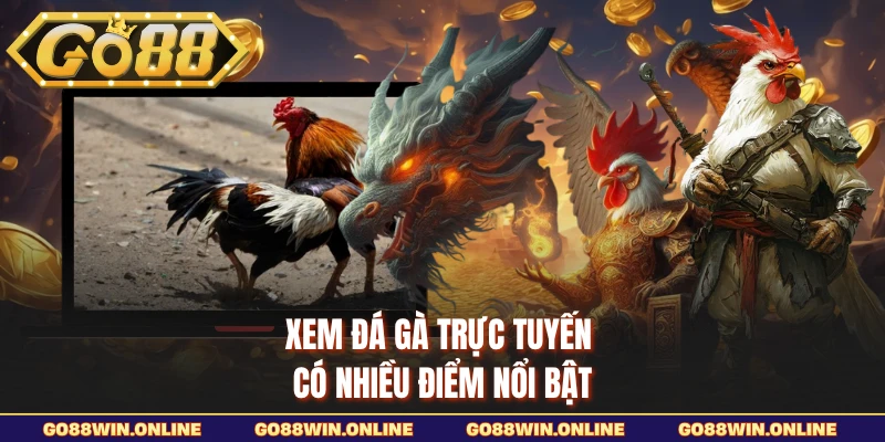Xem đá gà trực tuyến có nhiều điểm nổi bật